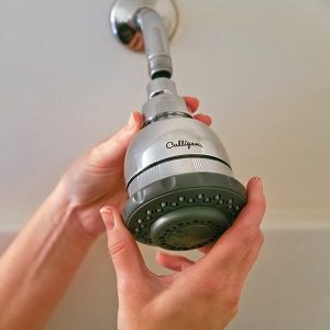 Wall-Mounted Filtered Showerhead with Massage