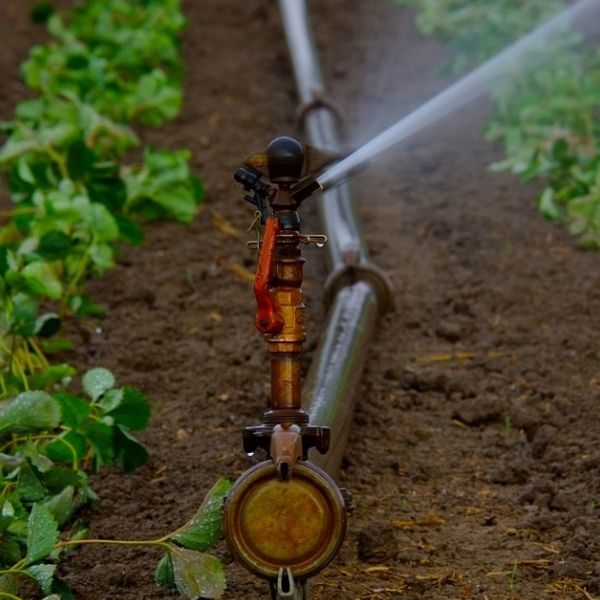 agriculture water sprinkler with filter that removes nitrates