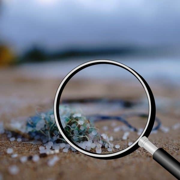 microplastics water contaminants under magnifying glass