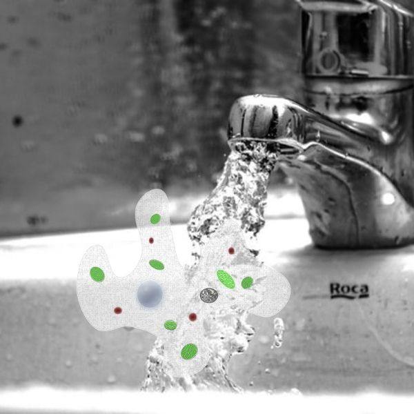 water faucet contaminated with amoeba
