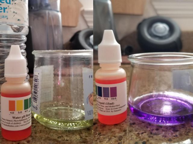 before and after using ph restore alkaline water pitcher