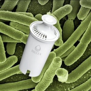 brita filter and e. koli bacteria