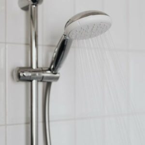shower head with water filter